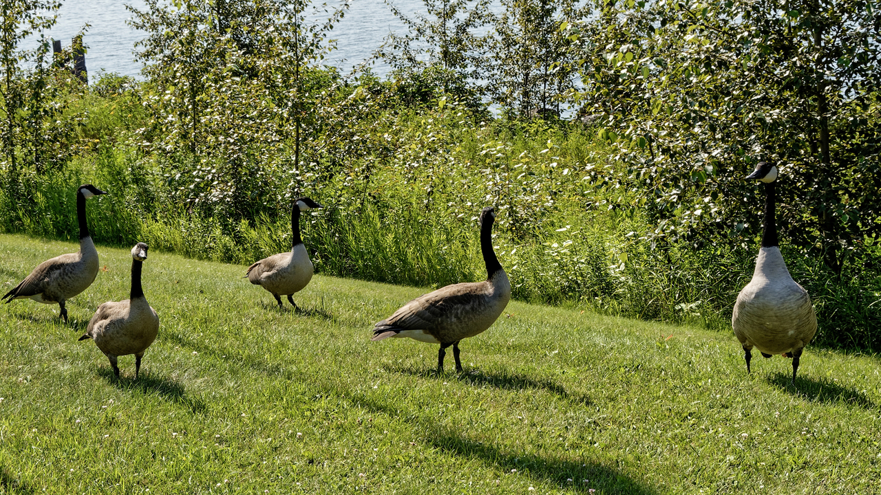 20190806-102507••Two Harbors•Minnesota•USA